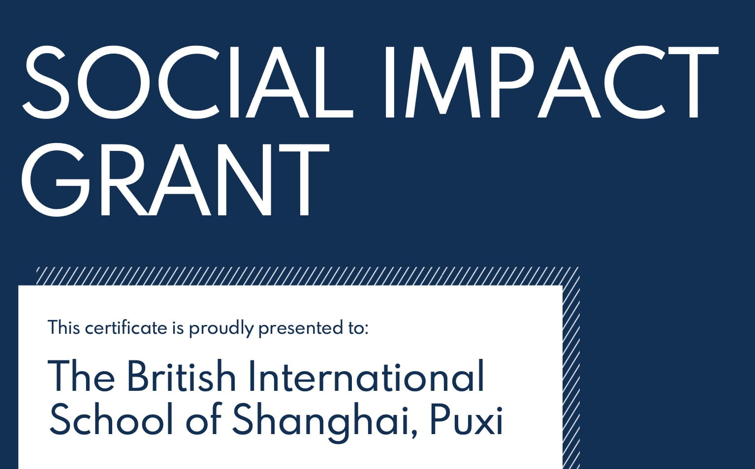 BISS receives funding for student-led social impact project PAWS - Celebrating our Global Campus Writing Competition Winners