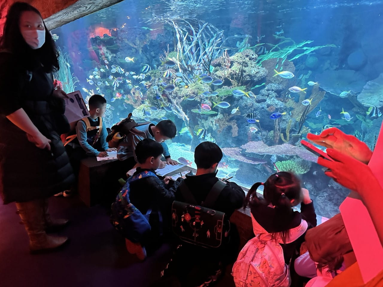 Changfeng Ocean Park - Changfeng Ocean Park