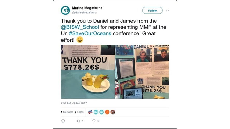 Marine Megafauna