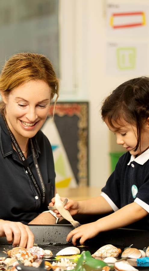 Online Application Form | BSB Sanlitun - Form Assembly Connector