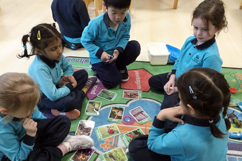 In the World of Minibeasts | BSB Sanlitun - In the World of Minibeasts