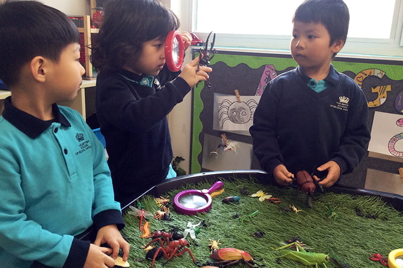 In the World of Minibeasts | BSB Sanlitun - In the World of Minibeasts