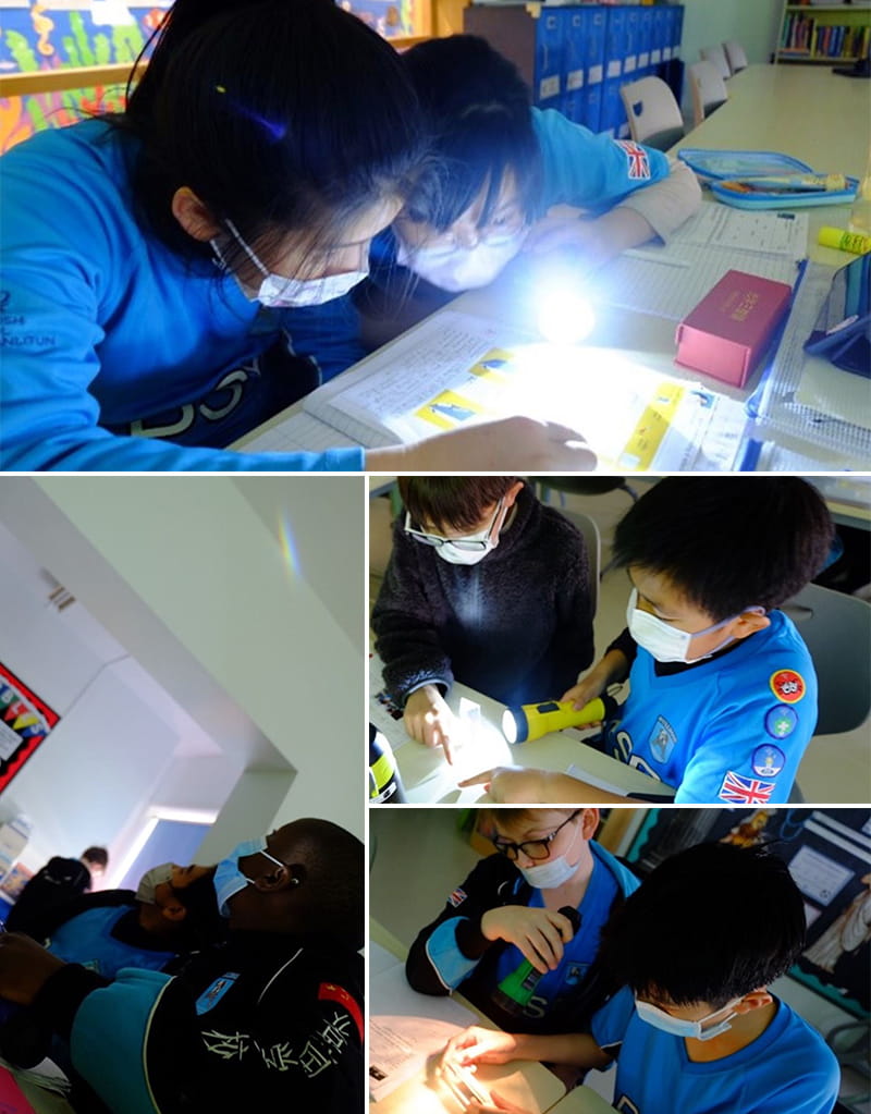 Upper Primary Science Specialism | BSB Sanlitun - Upper Primary Science Specialism