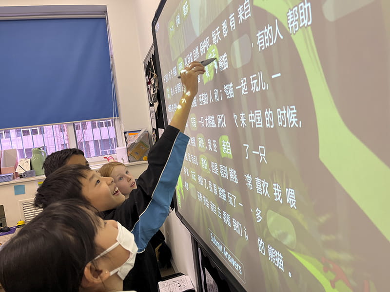 In case you missed it! | BSB Sanlitun - In case you missed it