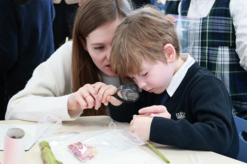 Year 1 Science Day | BSB Sanlitun - Year 1 Science Day