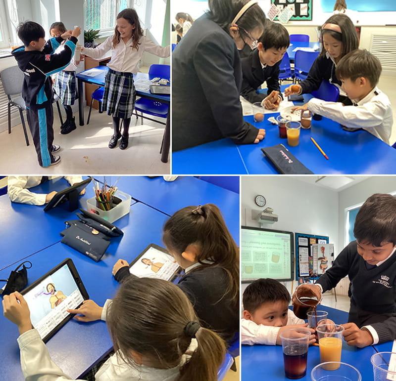 Something to Digest | BSB Sanlitun - Something to Digest