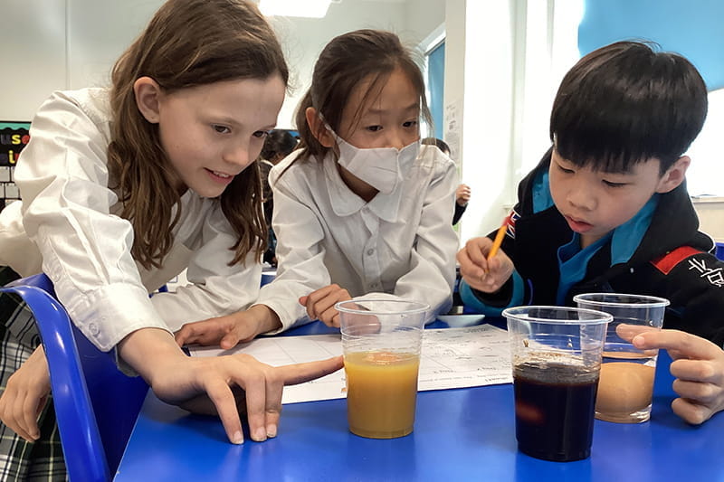 Something to Digest | BSB Sanlitun - Something to Digest