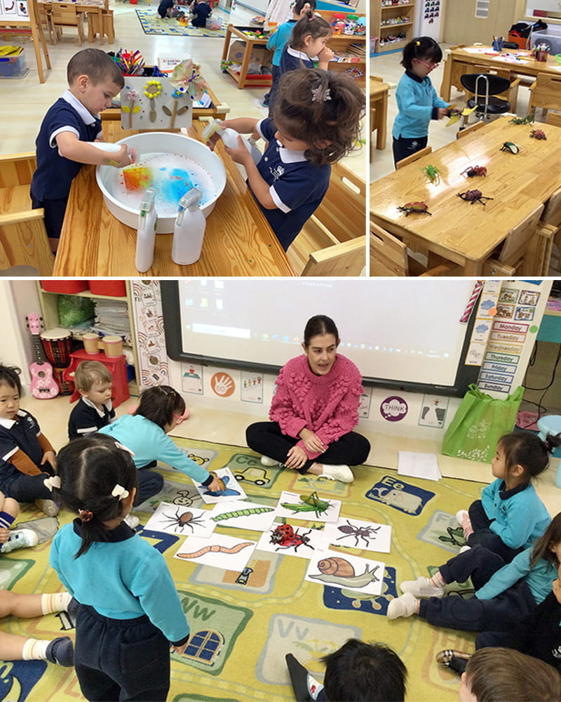 Bug's Life | BSB Sanlitun - Bugs Life