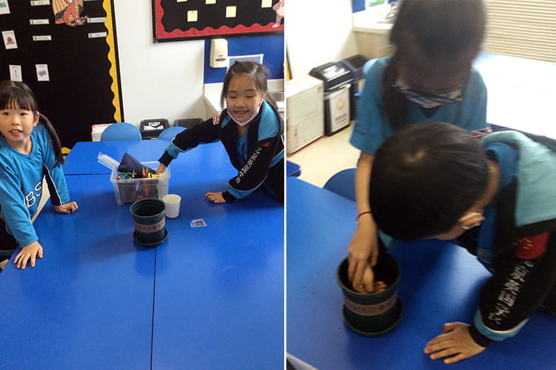 Planting seeds! | BSB Sanlitun - Planting Seeds