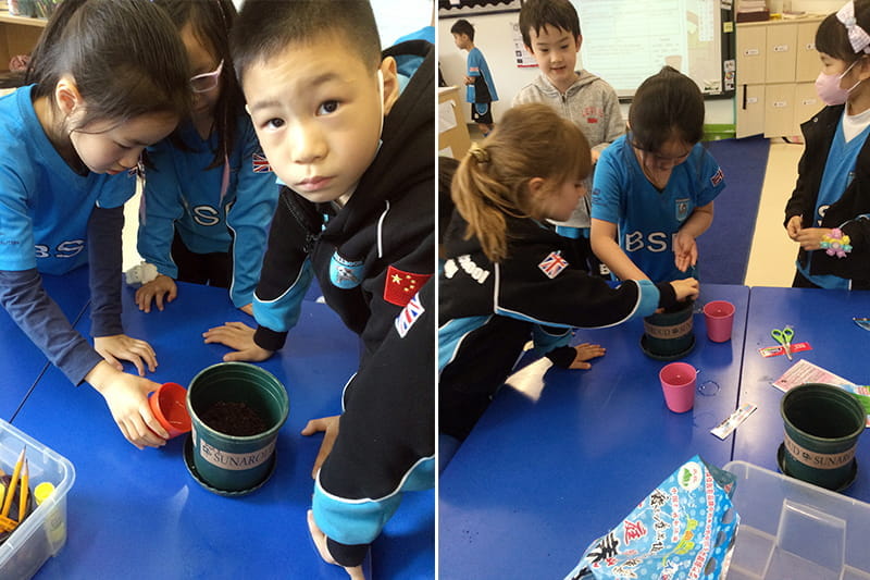 Planting seeds!  | BSB Sanlitun - Planting Seeds