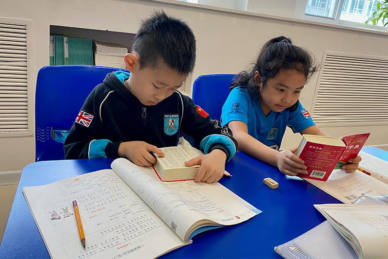 Chinese Update | BSB Sanlitun - Chinese Update