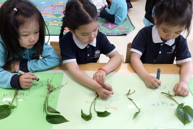 Reception Gardeners | BSB Sanlitun - Reception Gardeners