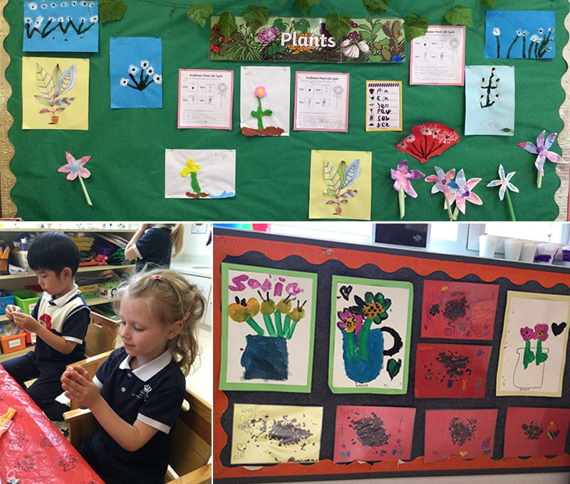 My bean is a little seed | BSB Sanlitun - My bean is a little seed