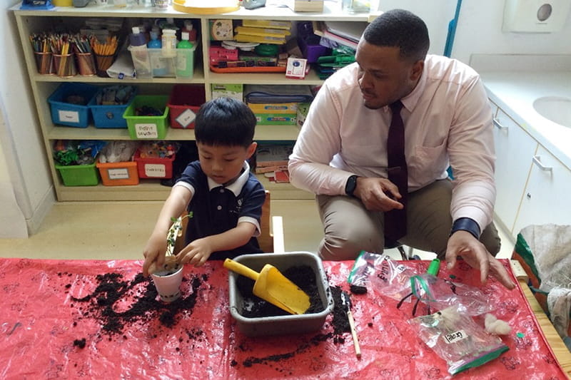 My bean is a little seed | BSB Sanlitun - My bean is a little seed