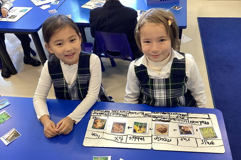 Food Chain Frenzy! | BSB Sanlitun - Food Chain Frenzy