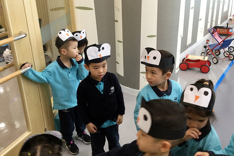 Little Penguin's Big Adventure | BSB Sanlitun - Little Penguins Big Adventure