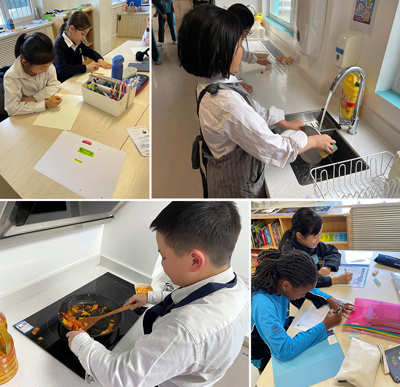 Spring Term Enrichment | BSB Sanlitun - Spring Term Enrichment