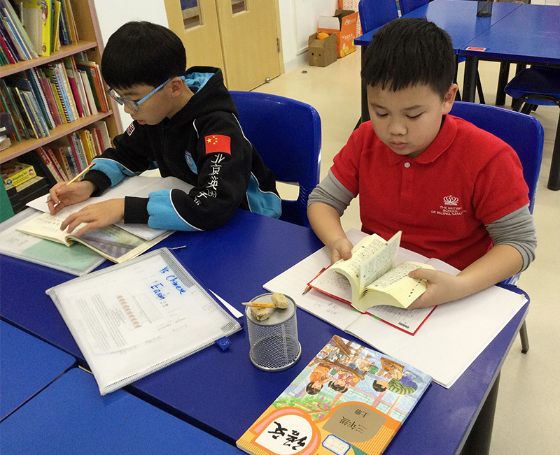Learning Beyond the Classroom | BSB Sanlitun - Learning Beyond the Classroom