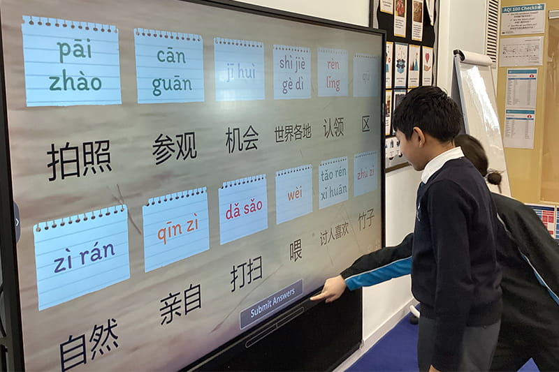 Learning Beyond the Classroom | BSB Sanlitun - Learning Beyond the Classroom