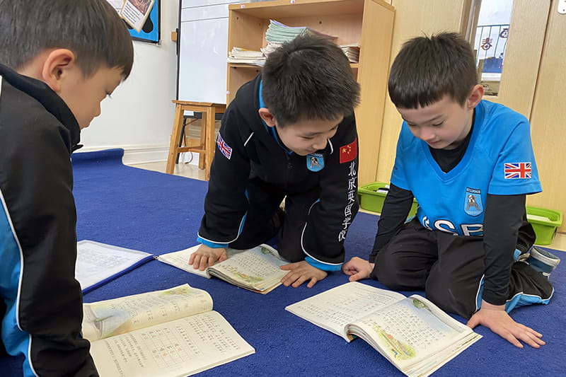 Chinese Update | BSB Sanlitun - Chinese Update