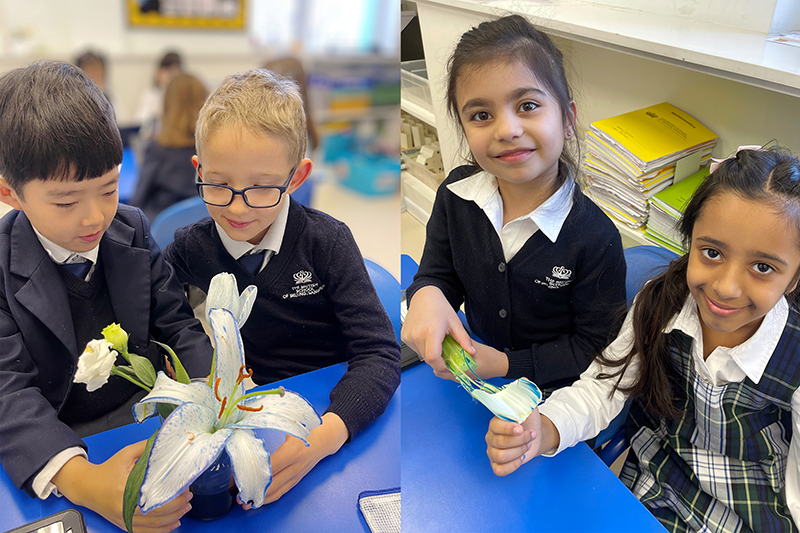 Year 3 Flower Power | BSB Sanlitun - Year 3 Flower Power