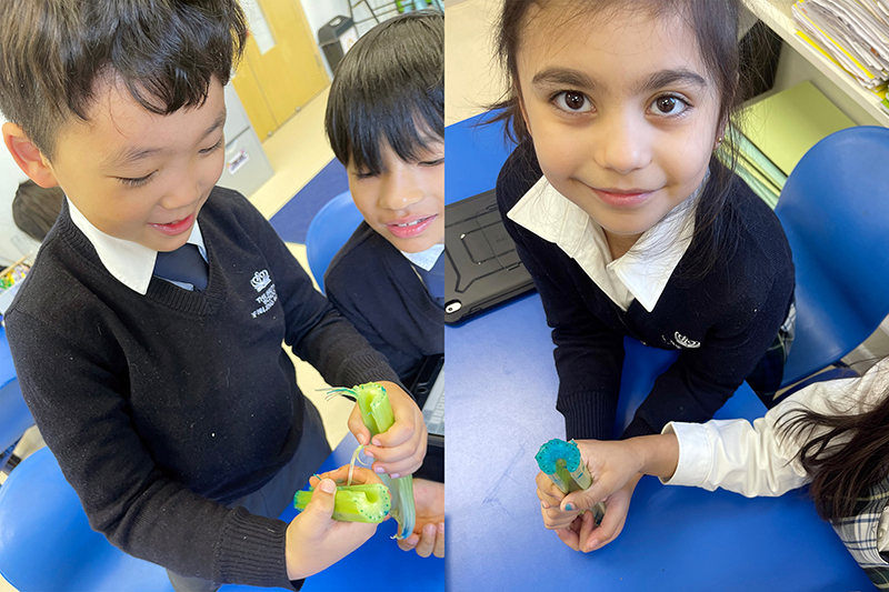 Year 3 Flower Power | BSB Sanlitun - Year 3 Flower Power
