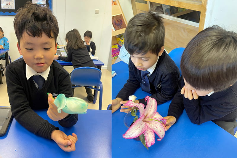 Year 3 Flower Power | BSB Sanlitun - Year 3 Flower Power