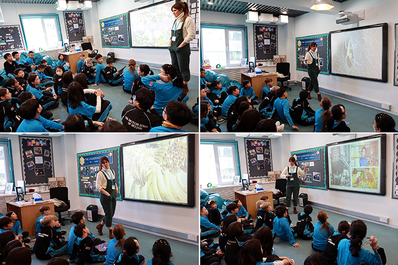 Celebrating Book Week 2024 - Female Authors and Poets | BSB Sanlitun - Celebrating Book Week 2024 - Female Authors and Poets