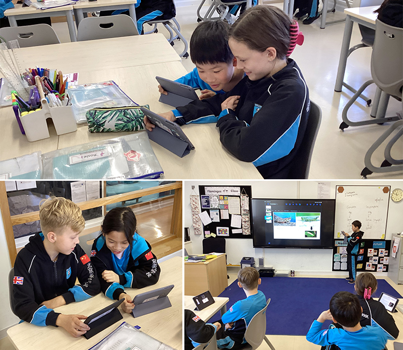 Science in Year 5 | BSB Sanlitun - Science in Year 5
