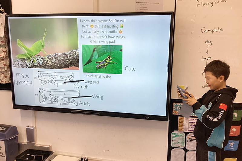 Science in Year 5 | BSB Sanlitun - Science in Year 5