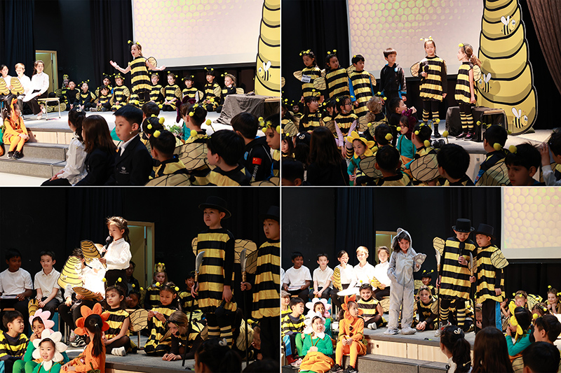 Bee-dazzling Year 3 Production of The Bee Musical | BSB Sanlitun - Bee-dazzling Year 3 Production of The Bee Musical