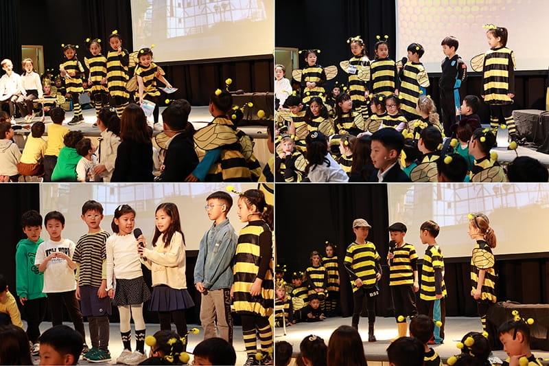 Bee-dazzling Year 3 Production of The Bee Musical | BSB Sanlitun - Bee-dazzling Year 3 Production of The Bee Musical