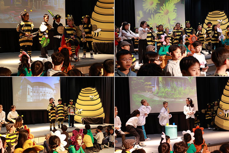 Bee-dazzling Year 3 Production of The Bee Musical | BSB Sanlitun - Bee-dazzling Year 3 Production of The Bee Musical