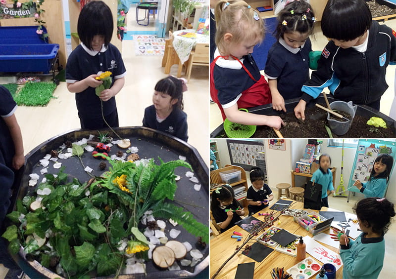 Tiny Creatures in Nature | BSB Sanlitun - Tiny Creatures in Nature