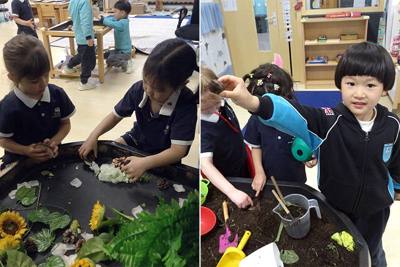 Tiny Creatures in Nature | BSB Sanlitun - Tiny Creatures in Nature