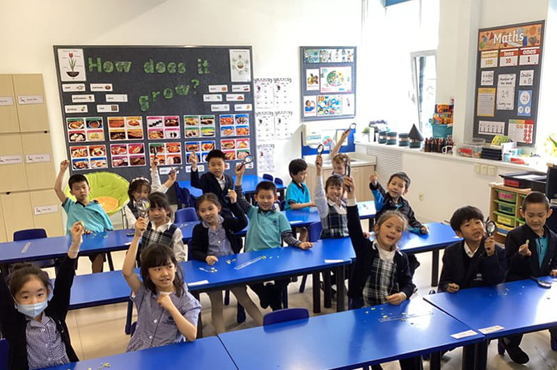 How Plants Grow and Thrive | BSB Sanlitun - How Plants Grow and Thrive