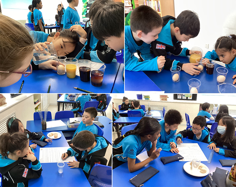 An Egg-cellent Investigation! | BSB Sanlitun - An Egg-cellent Investigation