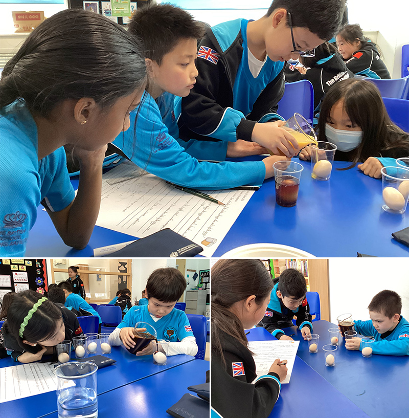 An Egg-cellent Investigation! | BSB Sanlitun - An Egg-cellent Investigation