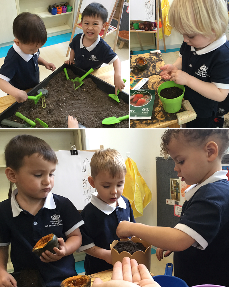 Sporting Fun in Pre-Nursery and Tadpoles | BSB Sanlitun - Sporting Fun in Pre-Nursery and Tadpoles