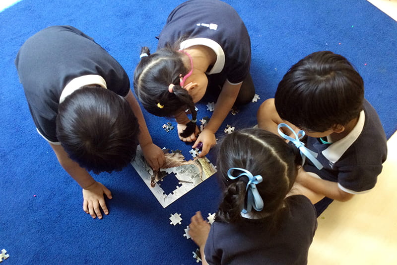 All about Dinosaurs | BSB Sanlitun - All about Dinosaurs