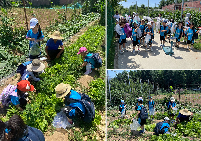 Year 1 Trip to Agrilandia Italian Farm | BSB Sanlitun - Year 1 Trip to Agrilandia Italian Farm