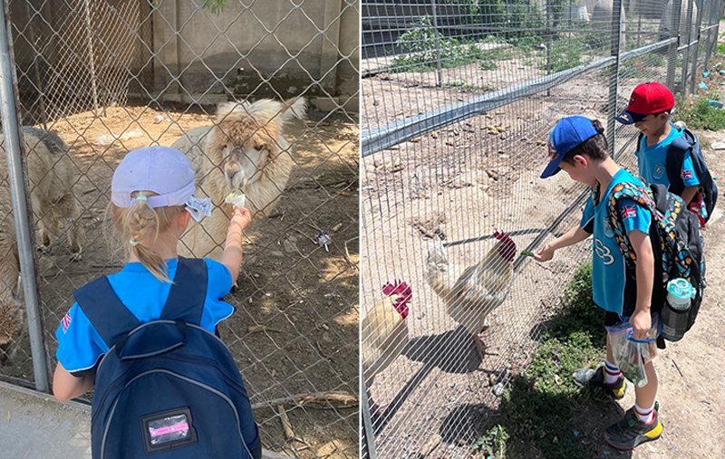 Year 1 Trip to Agrilandia Italian Farm | BSB Sanlitun - Year 1 Trip to Agrilandia Italian Farm