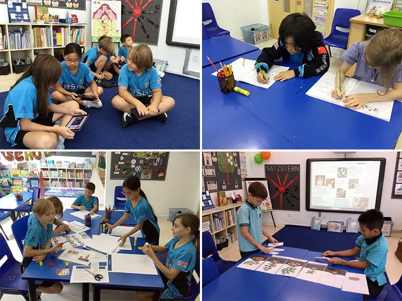 Interactive Learning in German | BSB Sanlitun - Interactive Learning in German