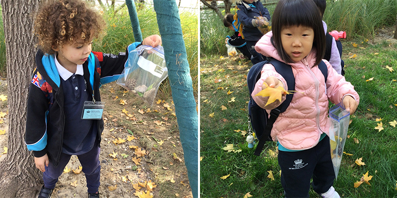 Autumn has fallen into Nursery | BSB Sanlitun - Autumn has fallen into Nursery