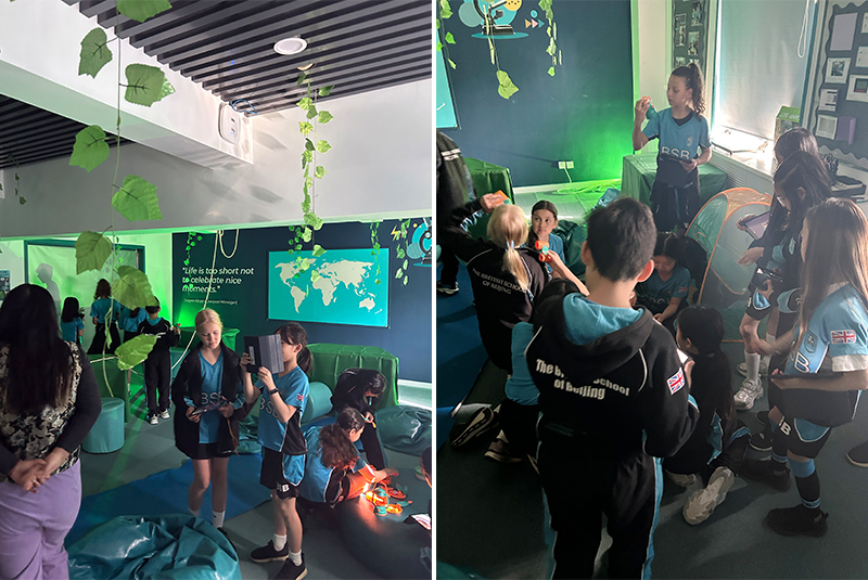 Year 5 Launches Exciting New English Unit: Survival Narratives | BSB Sanlitun - Survival Narratives