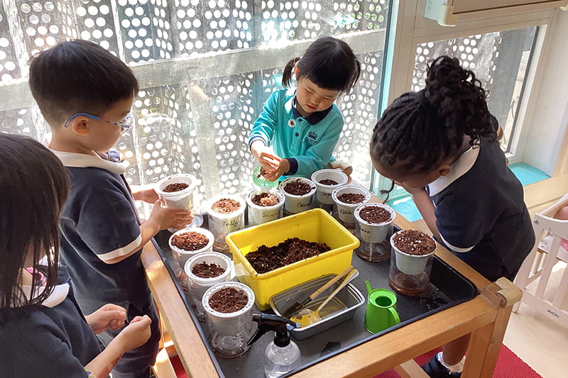 The Wonderful Life Cycle of Plants | BSB Sanlitun - Life Cycle of Plants