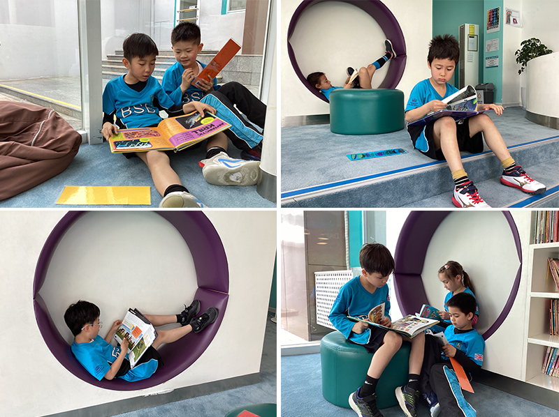 The Power of a Well-Stocked and Inviting Library in Primary Schools: A Key to Reading Attainment and Enjoyment  | BSB Sanlitun - Primary Library