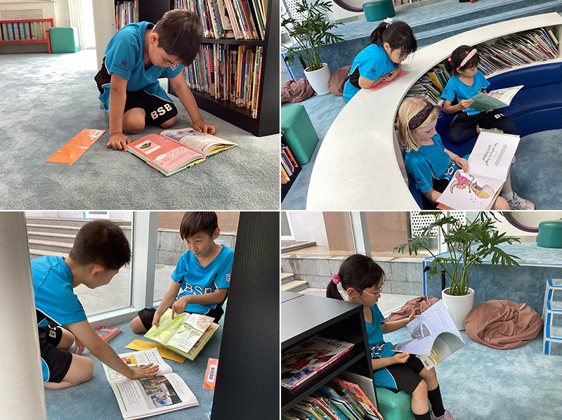 The Power of a Well-Stocked and Inviting Library in Primary Schools: A Key to Reading Attainment and Enjoyment  | BSB Sanlitun - Primary Library
