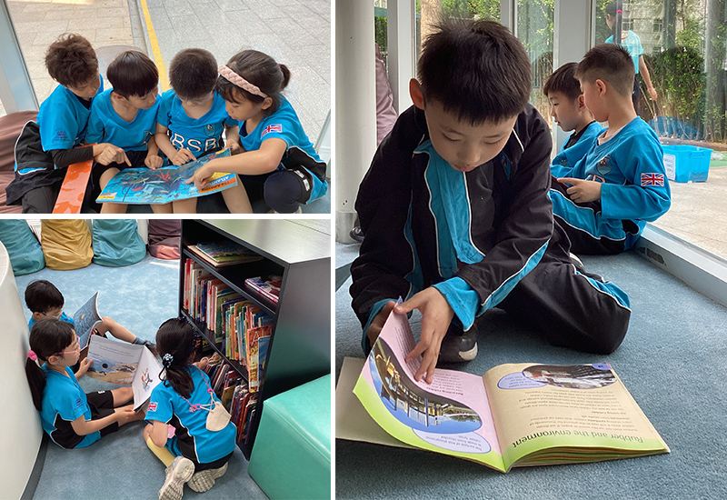 The Power of a Well-Stocked and Inviting Library in Primary Schools: A Key to Reading Attainment and Enjoyment  | BSB Sanlitun - Primary Library