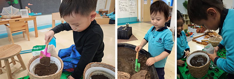 Reception's Exploration of 'Growing and Changing' | BSB Sanlitun - Reception Growing and Changing